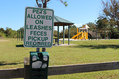 Filbert Street Park 2