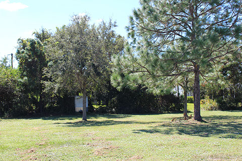 Filbert Street Park 17