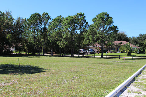 Filbert Street Park 16