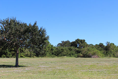 Filbert Street Park 14